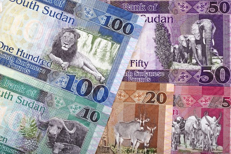南スーダンの通貨とチップ