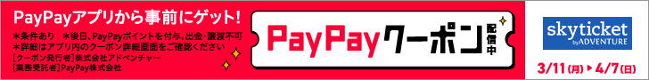 PayPayバナー