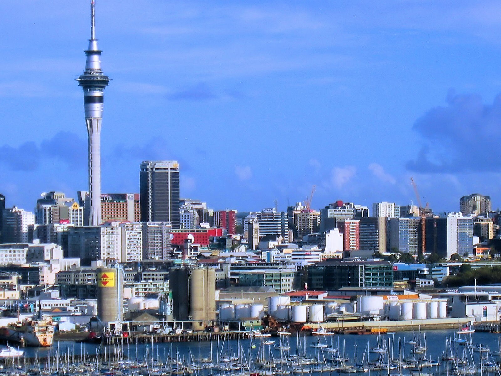 オークランド(アメリカ)行き 格安航空券を比較 往復¥75,400から スカイチケット海外航空券