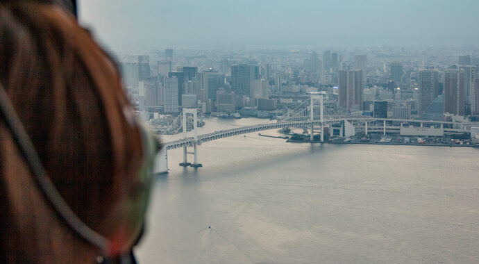 【東京湾岸の青空をクルージング10分】ヘリ遊覧をお試し価格で大満足！