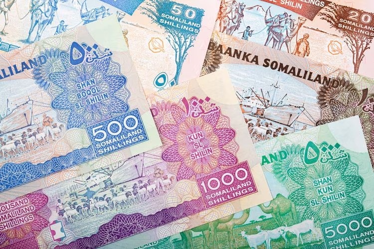 Somalia - Currency & Tipping