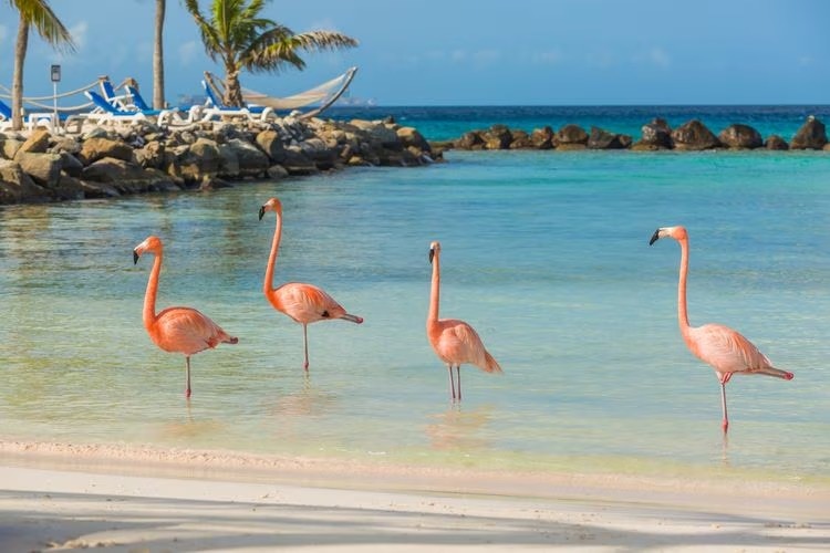 Aruba - Major Tourist Attractions & UNESCO World Heritage Sites