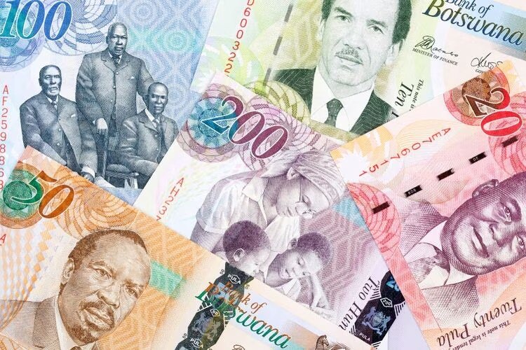 Botswana - Currency & Tipping