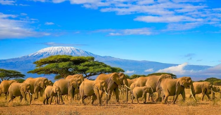 Tanzania - Major Tourist Attractions & UNESCO World Heritage Sites