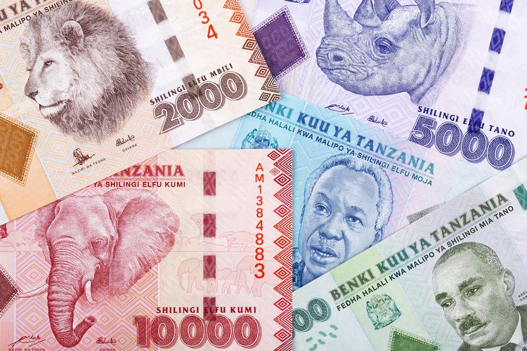 タンザニアの通貨とチップ