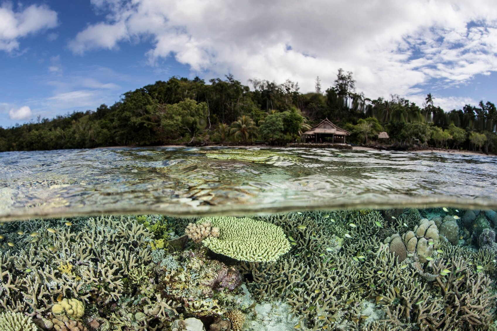 Solomon Islands - Major Tourist Attractions & UNESCO World Heritage Sites