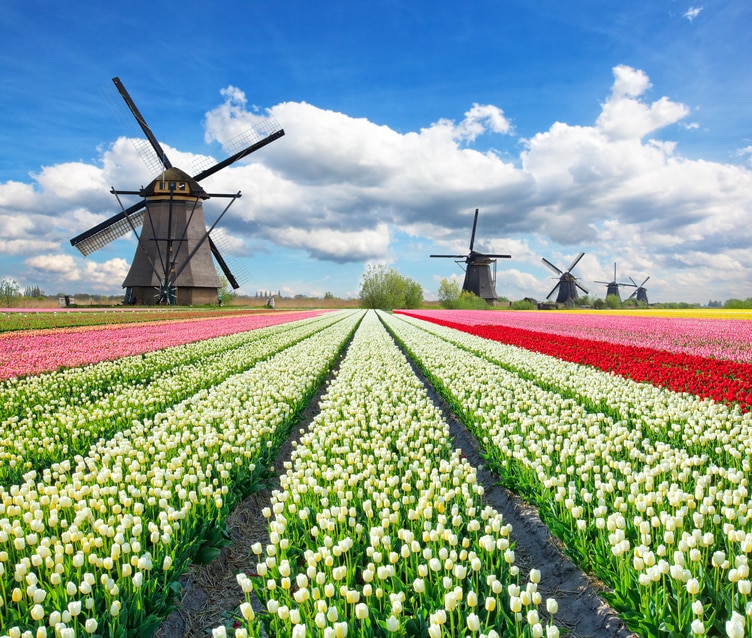 オランダの主要観光地と世界遺産