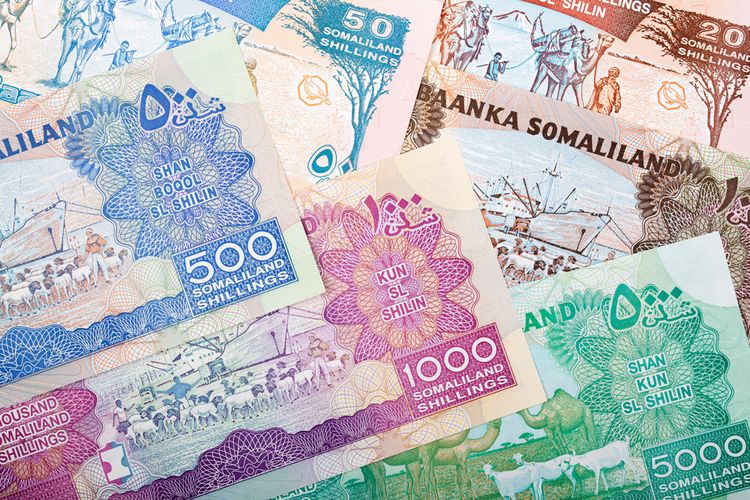 ソマリアの通貨とチップ