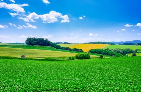 北海道 フェリー 最安値