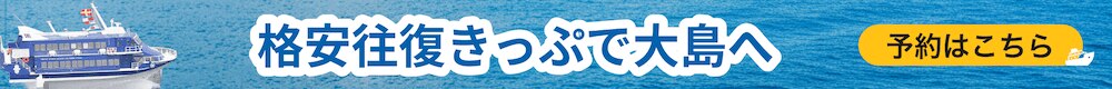 伊豆大島往復フェリー