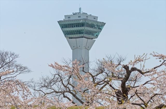 函館 五稜郭タワー