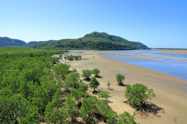 上原港 浦内川