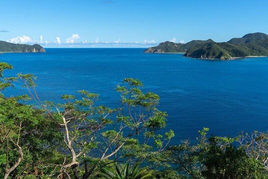 マルエーフェリー 古仁屋ターミナル 観光・アクティビティ