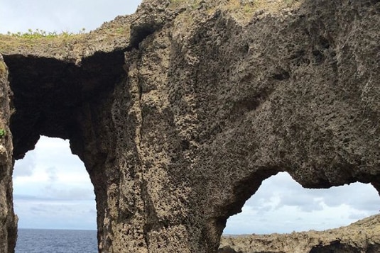 マルエーフェリー 平土野ターミナル 観光・アクティビティ