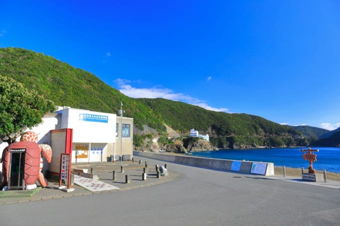 うみがめ博物館「カレッタ」