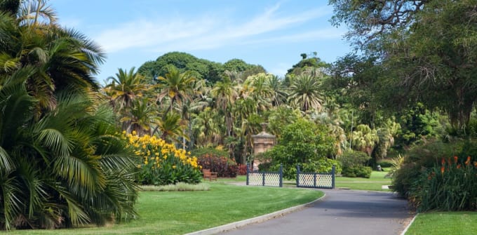 シドニー王立植物園