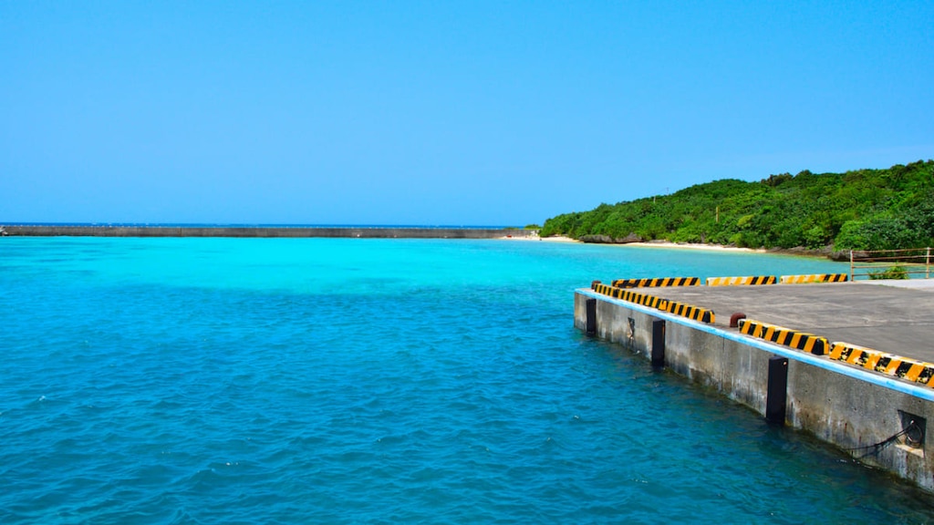 【水曜どうでしょう】激闘！西表島の聖地はどこ？｜あのロケ地は今