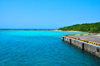 水曜どうでしょう 西表島