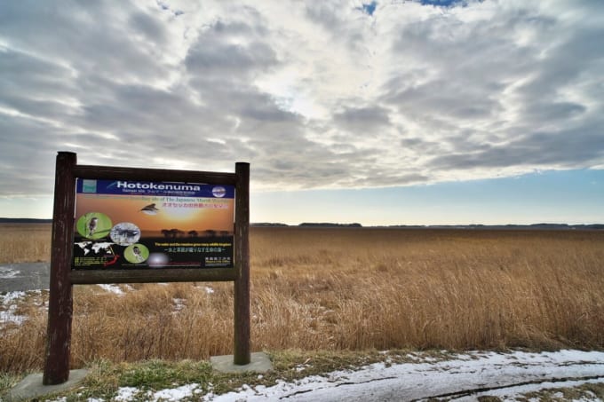 三沢市「仏沼」
