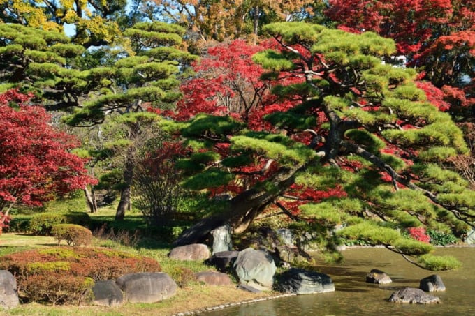 皇居東御苑　二の丸庭園
