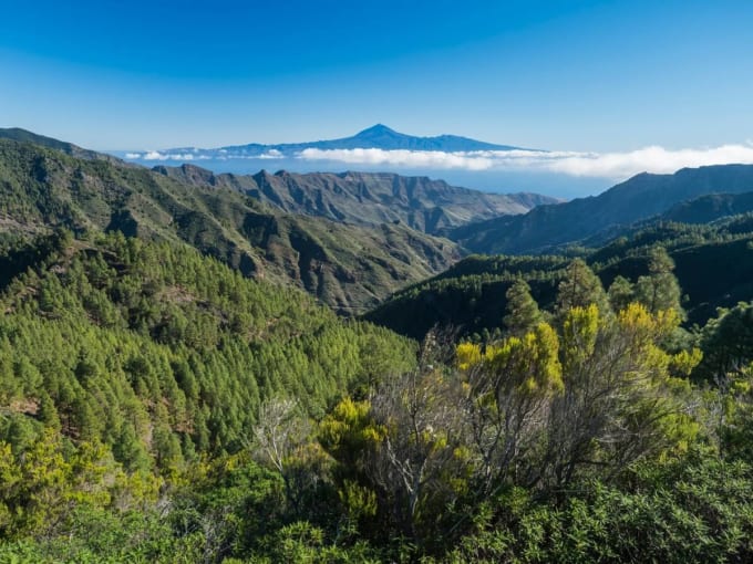 ガラナホイ国立公園（ラ・ゴメラ島）