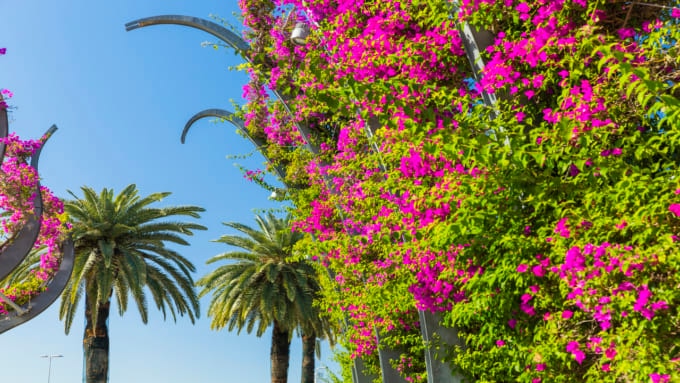 サウスバンク・パークランド（ブリスベン）