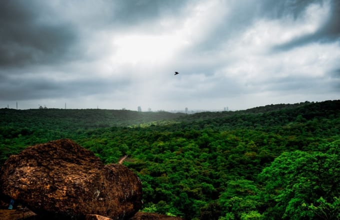 サンジャイ・ガンジー国立公園