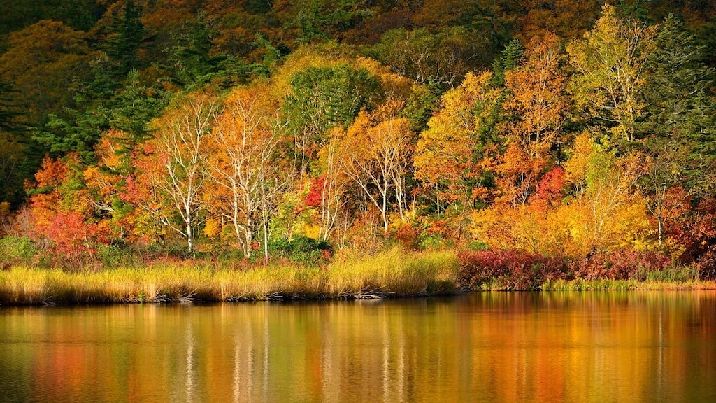 秋田県鹿角市（かづのし）の観光スポット13選｜歴史とパワーを体感