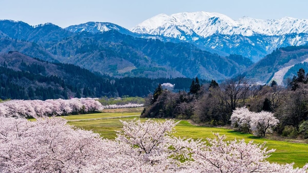 自然が活きる町！新潟県胎内市のオススメ観光スポット5選！