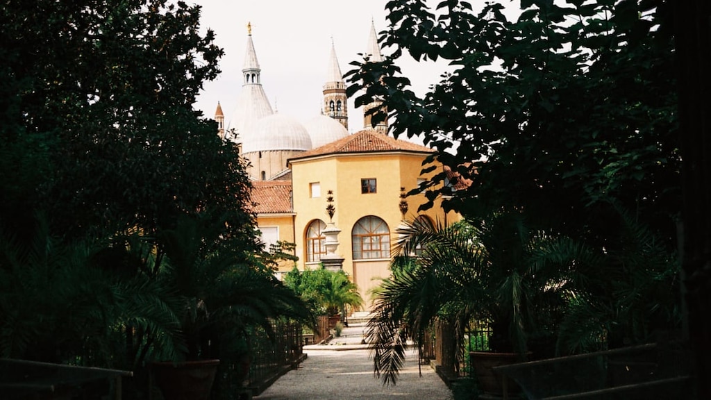 【世界遺産】パドヴァの植物園とは？｜由緒正しい植物園