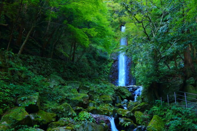 2023年 夏休み どこ行く　養老の滝
