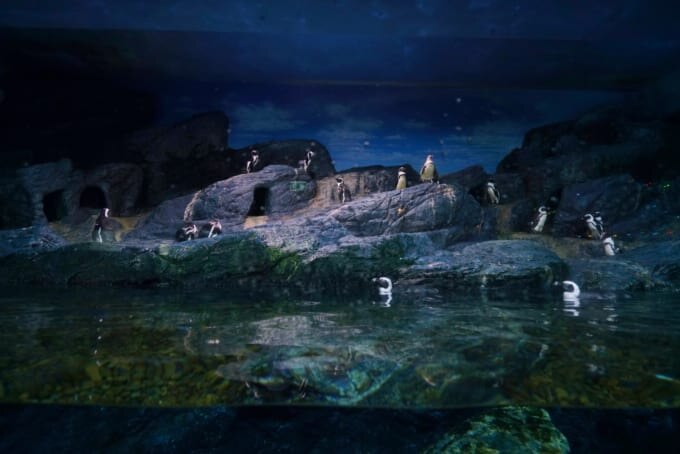 サイアム・オーシャン・ワールド