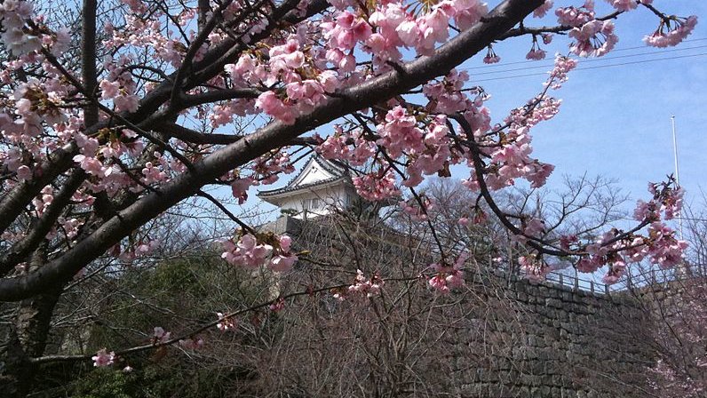 温暖で気持ちがいい瀬戸内海で桜を満喫 香川県の桜の名所10選 Skyticket 観光ガイド