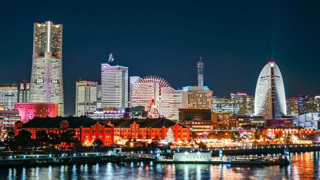 【東海汽船】東京湾夜景クルーズ（横浜港→東京）1,200円