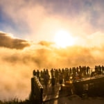 SORA terraceの雲海は圧巻