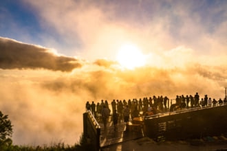 SORA terraceの雲海は圧巻