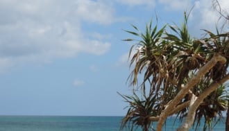 福地川海浜公園　観光