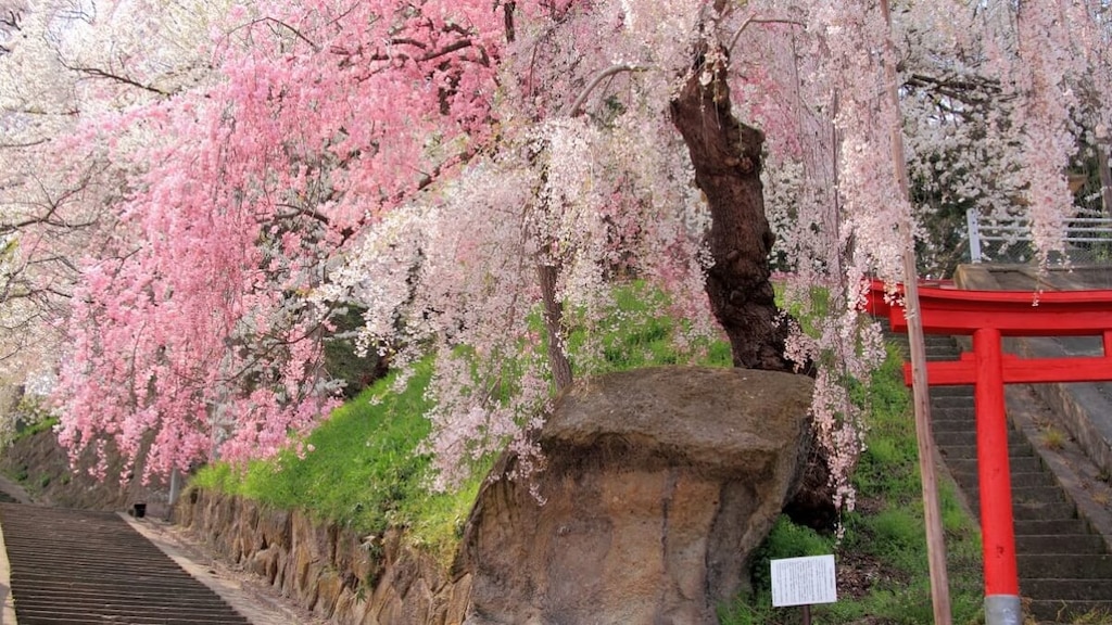 四季折々の自然の光景を楽しめる、山形県南陽市の観光スポット5選