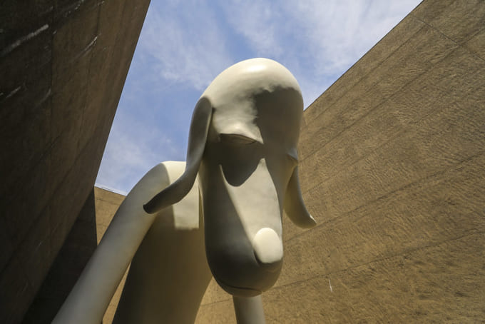 青森県立美術館「あおもり犬」