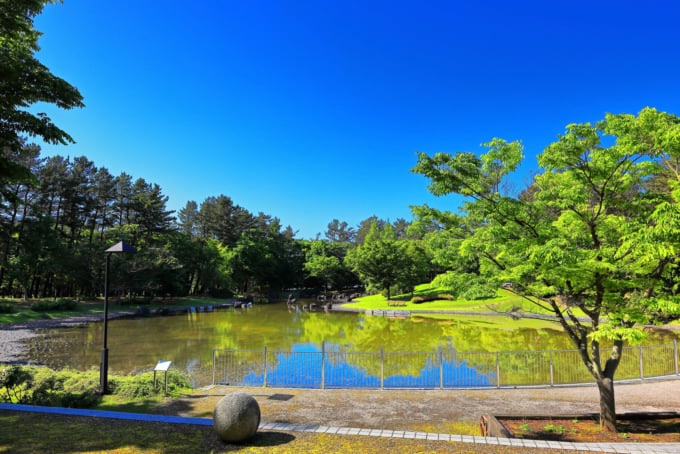 庄内空港 暇つぶし