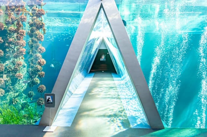 アクアマリンふくしま「潮目の海」