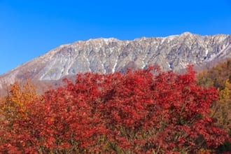 鍵掛峠から見る大山と紅葉