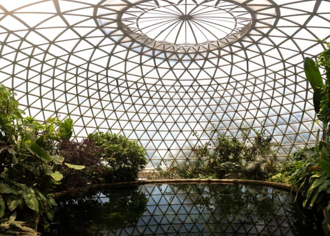 ブリスベン植物園マウント・クーサ