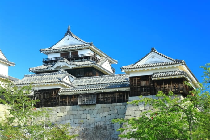 現存天守の高さ 松山城