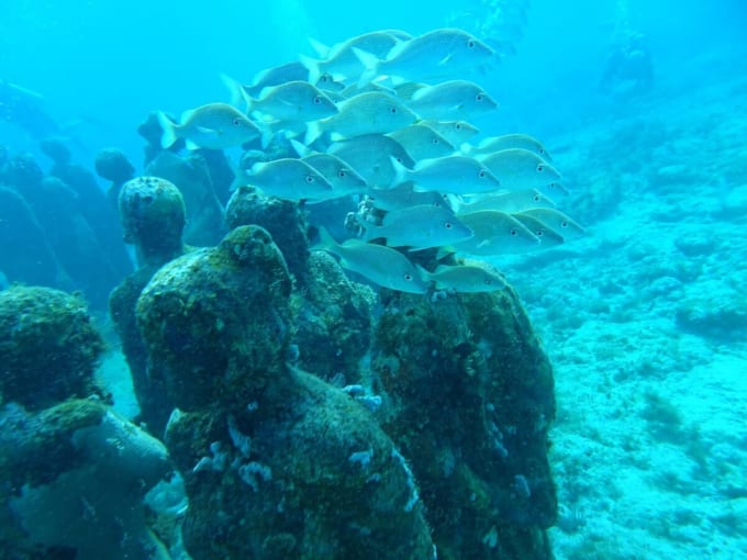 カンクン海底美術館（ムサ水中美術館）