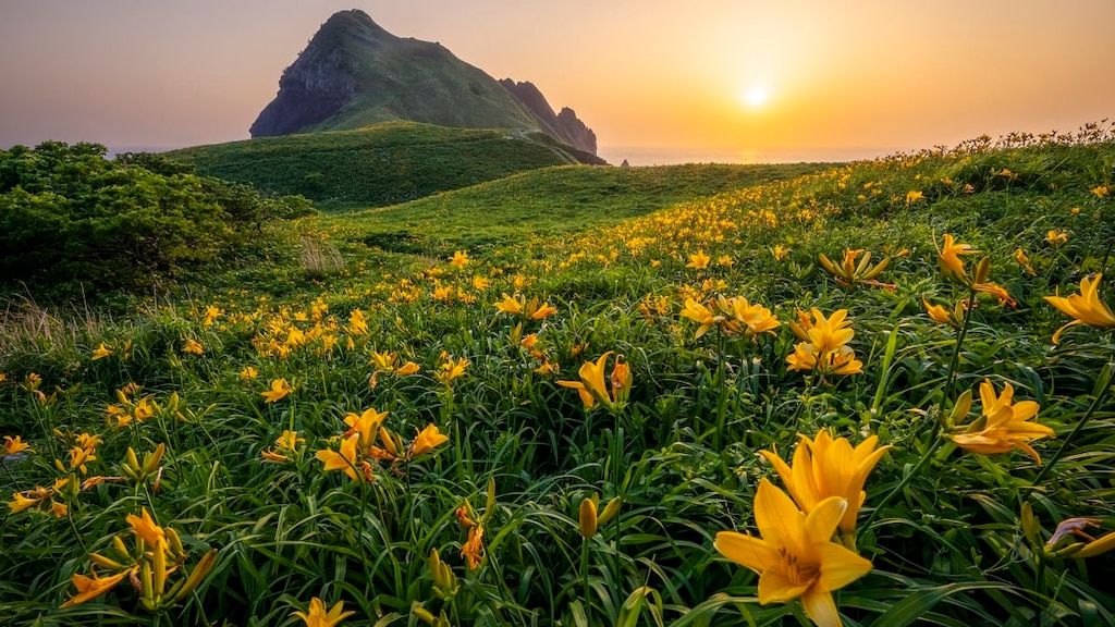 新潟空港から観光を始めよう！越後・佐渡満喫ガイド