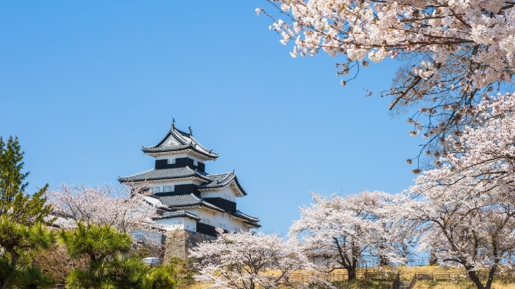 石垣と御三階櫓が美しい福島「白河小峰城」観光の見どころを解説！