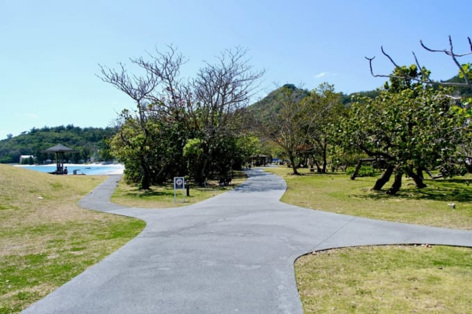 大神山公園（父島）