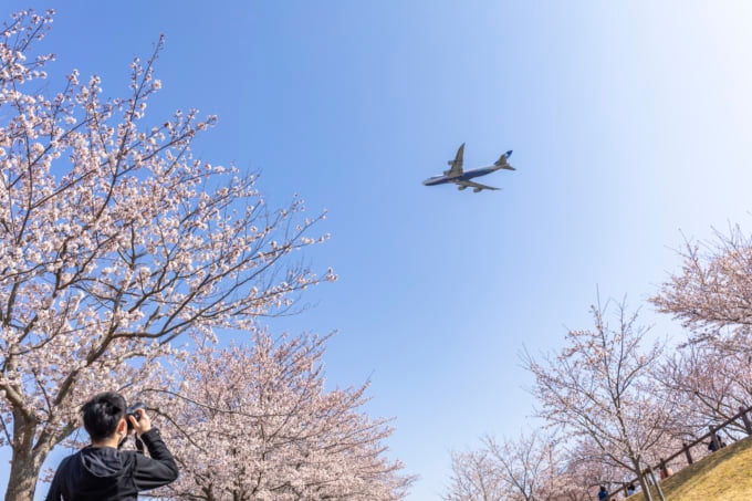 さくらの山公園と飛行機
