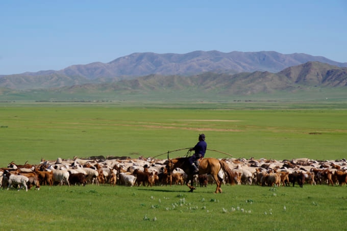 モンゴルの遊牧民